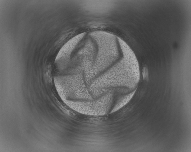 X0000076101396200610202123