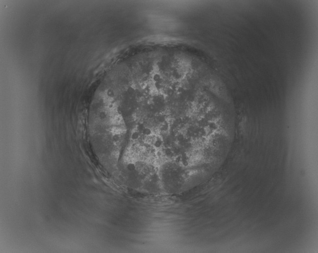 X0000076101397200610202123