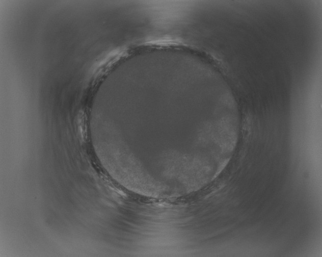 X0000076101398200610202123