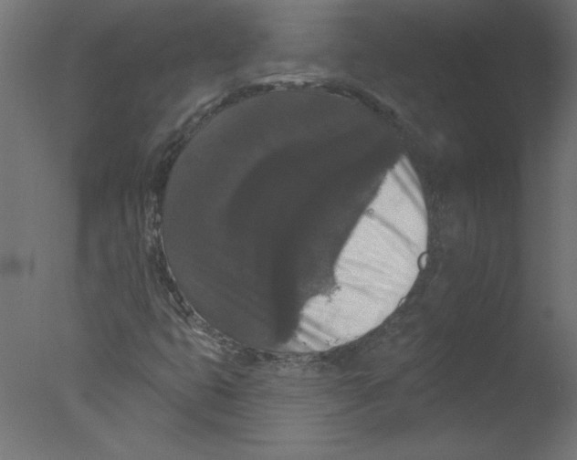 X0000076101399200610202123