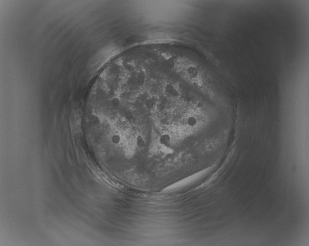 X0000076101401200610202123