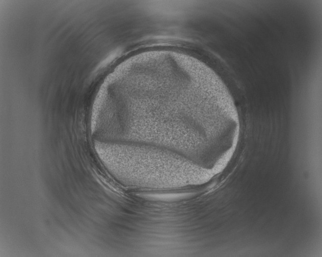 X0000076101403200610202123