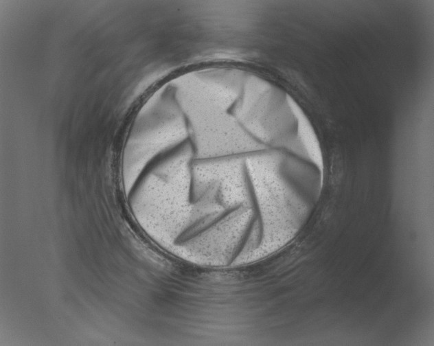 X0000076101404200610202123