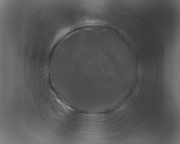 X0000076101405200610202123