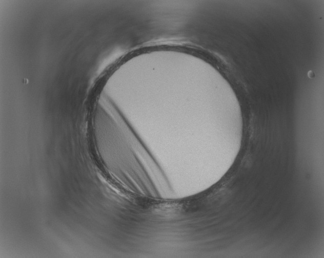 X0000076101406200610202123