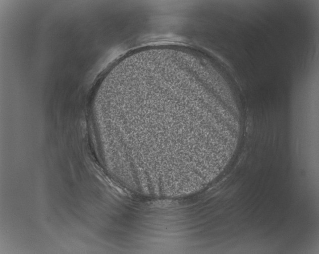 X0000076101407200610202123