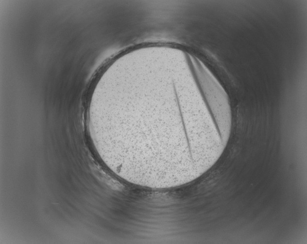 X0000076101408200610202124