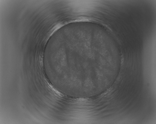 X0000076101409200610202124