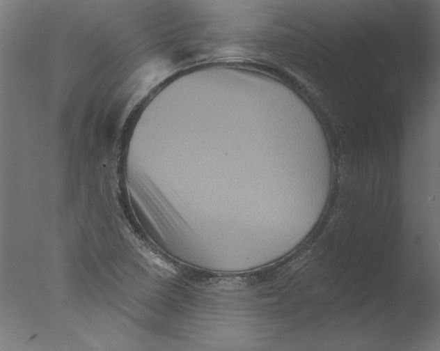 X0000076101410200610202124