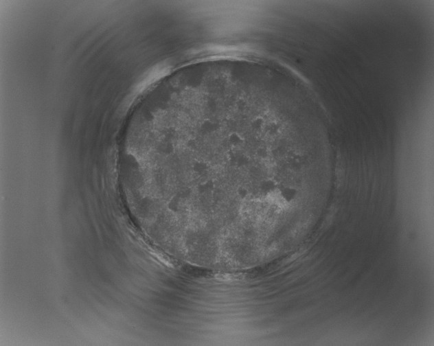 X0000076101411200610202124