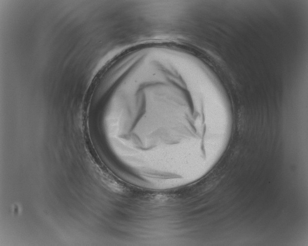 X0000076101412200610202124