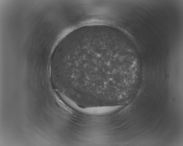 X0000076101413200610202124