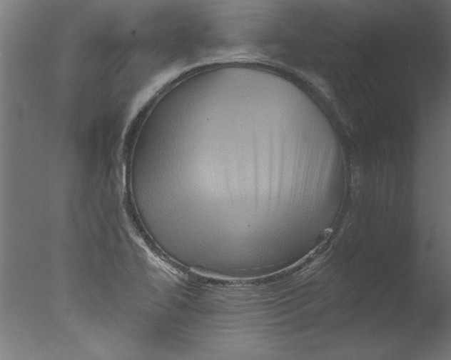 X0000076101414200610202124