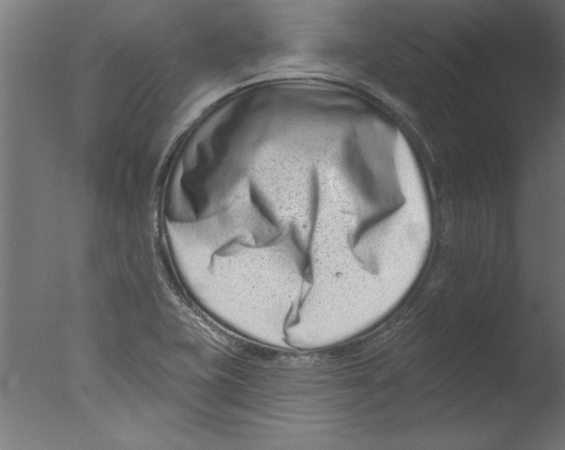 X0000076101415200610202124