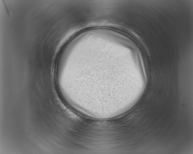 X0000076101416200610202124