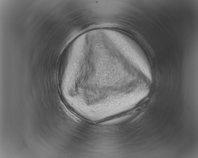 X0000076101417200610202124