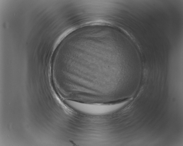 X0000076101418200610202124