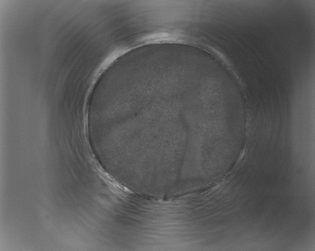 X0000076101419200610202124