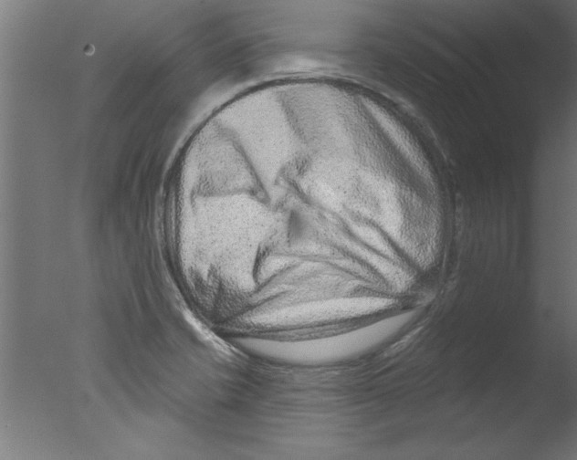 X0000076101421200610202124