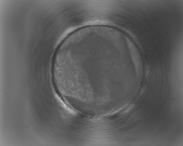 X0000076101422200610202124