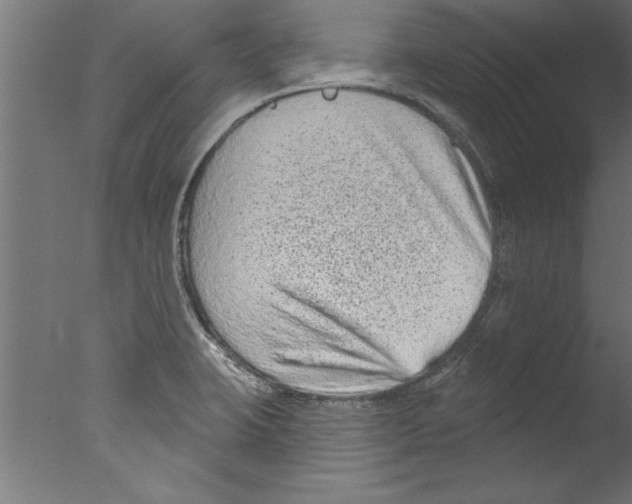 X0000076101423200610202124