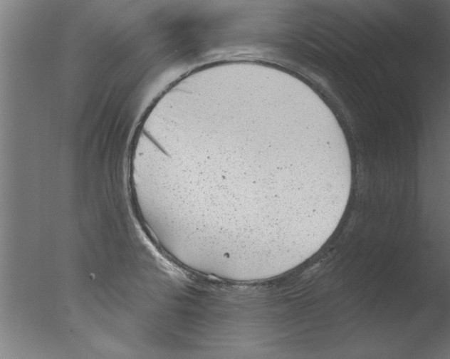 X0000076101424200610202124