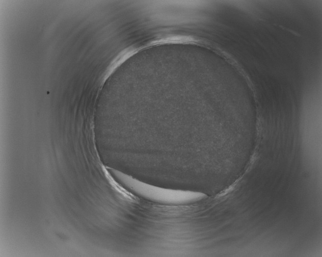 X0000076101425200610202124