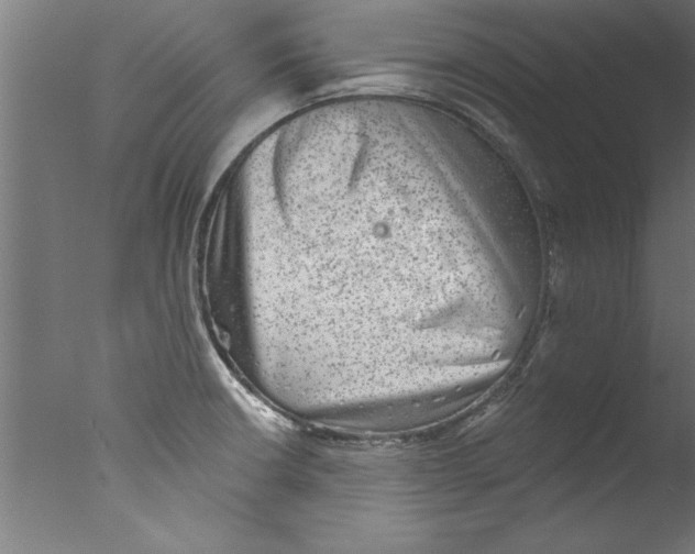 X0000076101426200610202124