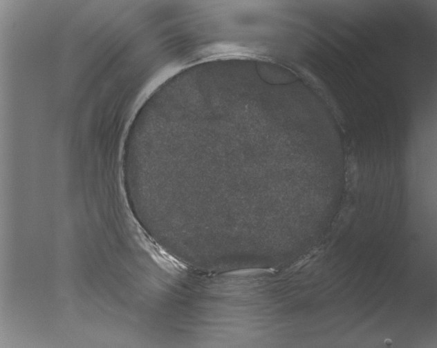 X0000076101427200610202124