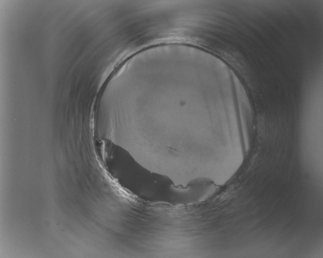 X0000076101428200610202124