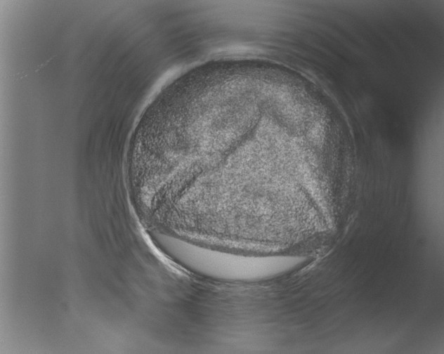 X0000076101429200610202124