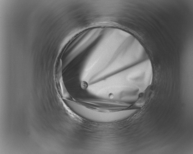 X0000076101430200610202124