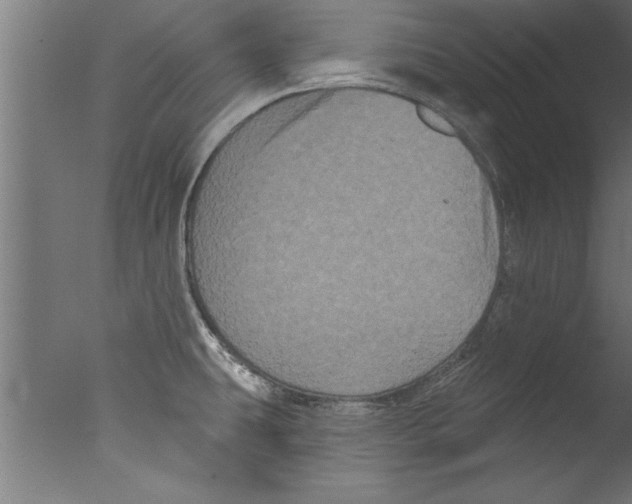 X0000076101431200610202124