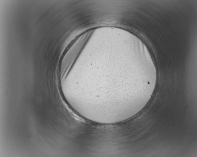 X0000076101432200610202124