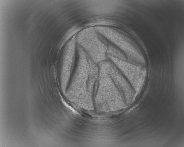 X0000076101433200610202124