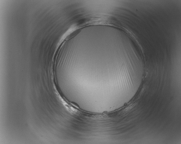 X0000076101434200610202124