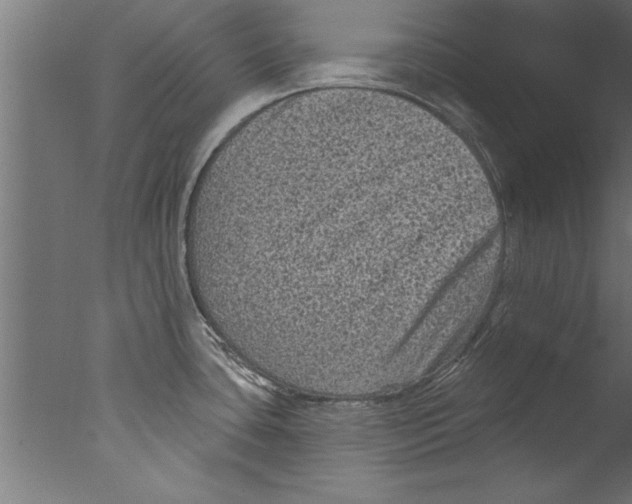 X0000076101435200610202124