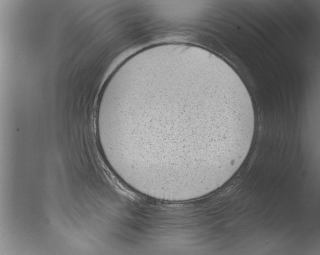 X0000076101436200610202124