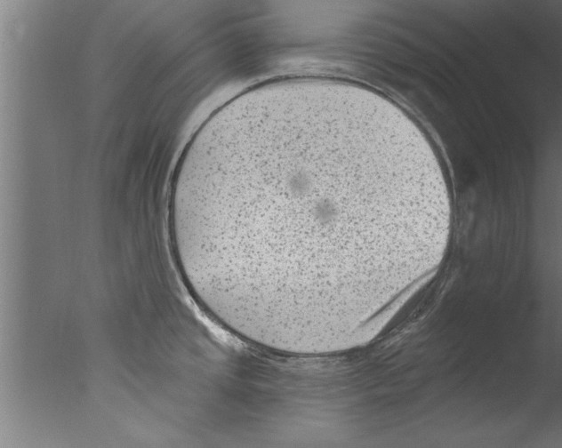 X0000076101437200610202124