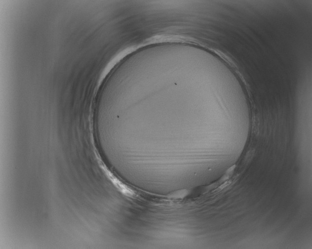 X0000076101438200610202124