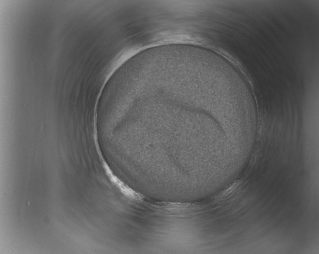 X0000076101439200610202124