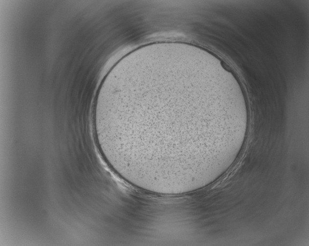 X0000076101440200610202124