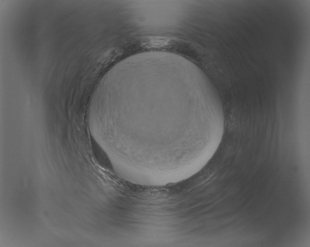 X0000076101441200610202123