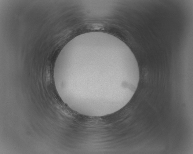 X0000076101442200610202123