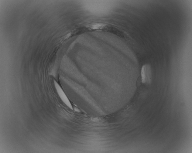 X0000076101443200610202123