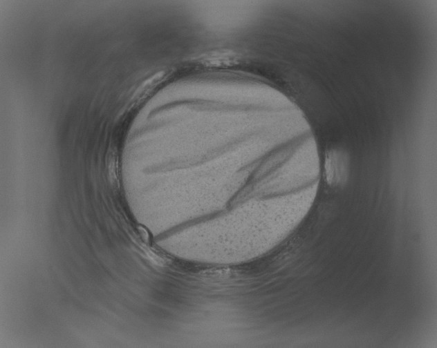 X0000076101444200610202123