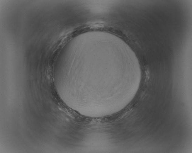 X0000076101445200610202123