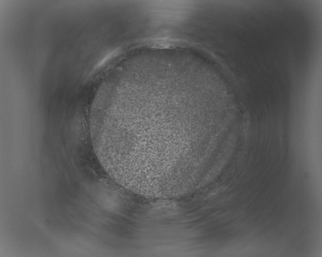 X0000076101446200610202123