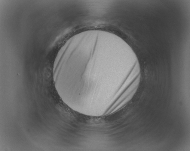 X0000076101447200610202123