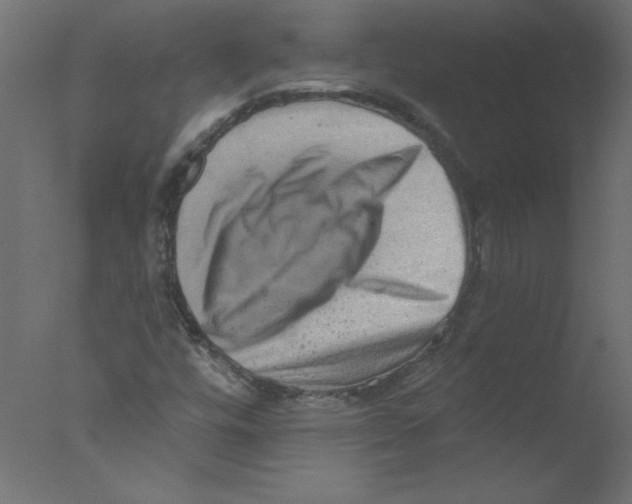 X0000076101448200610202123